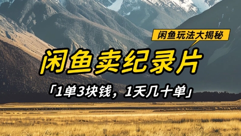 闲鱼卖纪录片1单3块钱，1天几十单，项目稳定有潜力