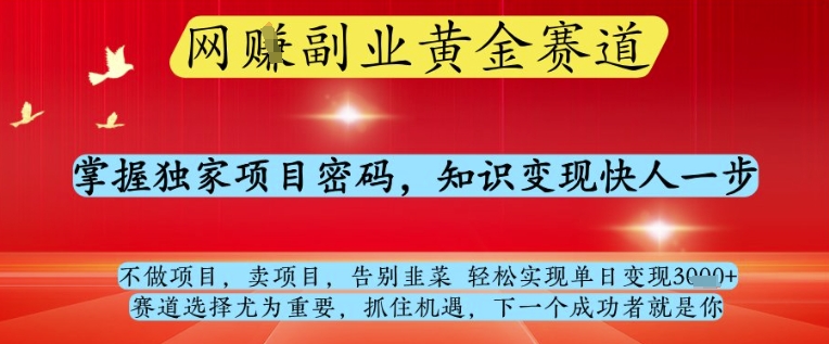 网创副业黄全赛道，掌握独家项目密码，知识变现快人一步，告别韭菜轻松实现单日变现1k+【揭秘】-资源教程须哥