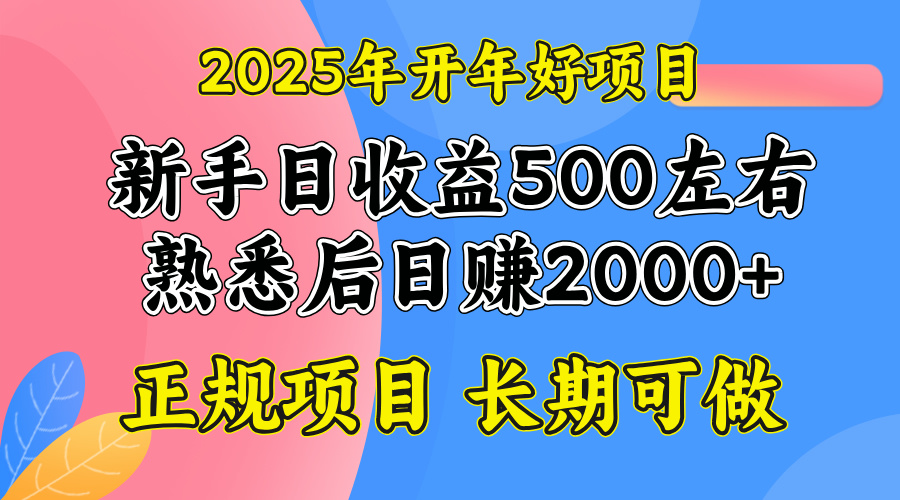 2025开年好项目，单号日收益2000左右-资源教程须哥