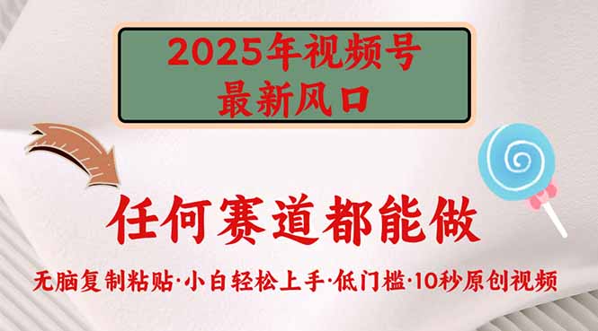2025年视频号新风口，低门槛只需要无脑执行-资源教程须哥