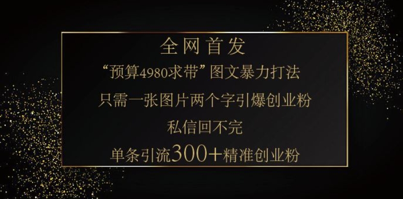 小红书神奇图片引流法，只需一张图，就能单条笔记凭借此方法，轻松引流 300 + 精准创业粉-资源教程须哥