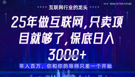 什么!25年你还在找项目做?风口早就变了,卖项目才是稳挣不赔【揭秘】-资源教程须哥
