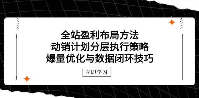 全站盈利布局方法：动销计划分层执行策略，爆量优化与数据闭环技巧-资源教程须哥