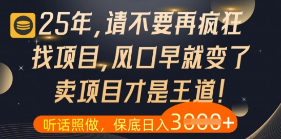 什么？25年你还在疯狂找项目做，醒醒吧，看完这些你全都懂了【揭秘】-资源教程须哥