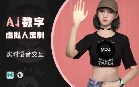 Ai数字人虚拟(智能体)实时语音交互特训营，​自行定制超写实角色AI数字人交互技术-资源教程须哥