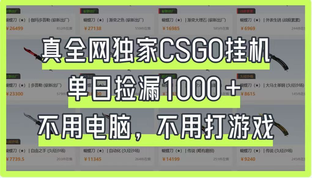 真全网独家CSGO挂机，单日捡漏1000+，不用电脑，不用养号-资源教程须哥