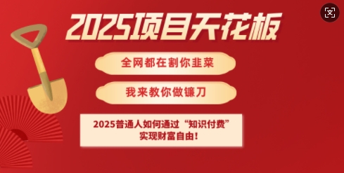 2025项目天花板普通人如何通过知识付费，实现财F自由【揭秘】-资源教程须哥