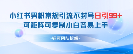 小红书男粉常规引流不封号日引99+变现简单 可矩阵可复制小白容易上手-资源教程须哥