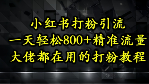 小红书打粉引流，一天轻松500+精准流量，大佬都在用的打粉教程-资源教程须哥