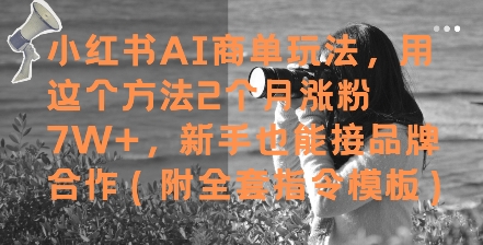 小红书AI商单玩法，用这个方法2个月涨粉7W+，新手也能接品牌合作(附全套指令模板)-资源教程须哥