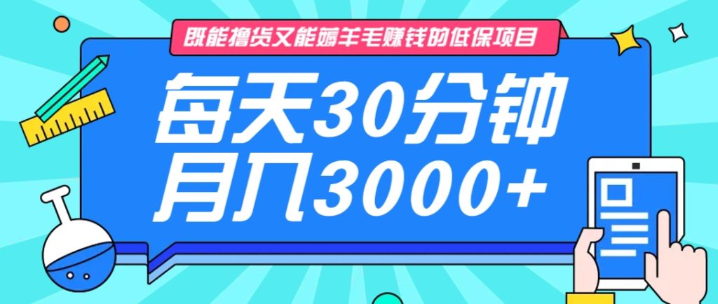 既能撸货又能赚钱的长期低保项目，每天30分钟，多号百分百稳定月入3000+！-资源教程须哥