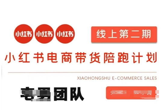 小红书电商带货课2期，月利润20个的小红书电商的有货源，无货源，虚拟产品，付费投流等整套玩法-资源教程须哥