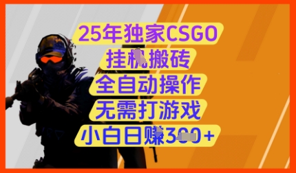 25年独家CSGO挂G搬砖，全自动操作，无需打游戏，小白日入3张+【揭秘】-资源教程须哥