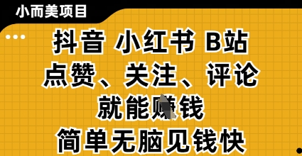 小而美的项目，抖音小红书B站视频点赞、关注、评论就能挣钱，简单无脑立见收益，妥妥的零撸项目【揭秘】-资源教程须哥