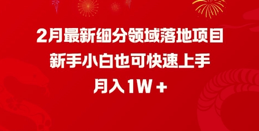 2月最新细分领域落地项目，新手小白也可快速上手，月入1W-资源教程须哥