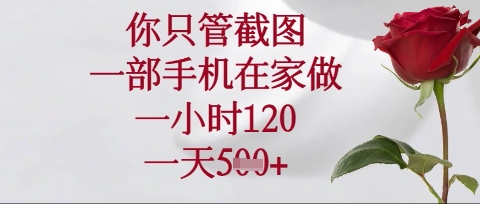 你只管截图，一部手机在家操作，一小时120.一天5张【揭秘】-资源教程须哥