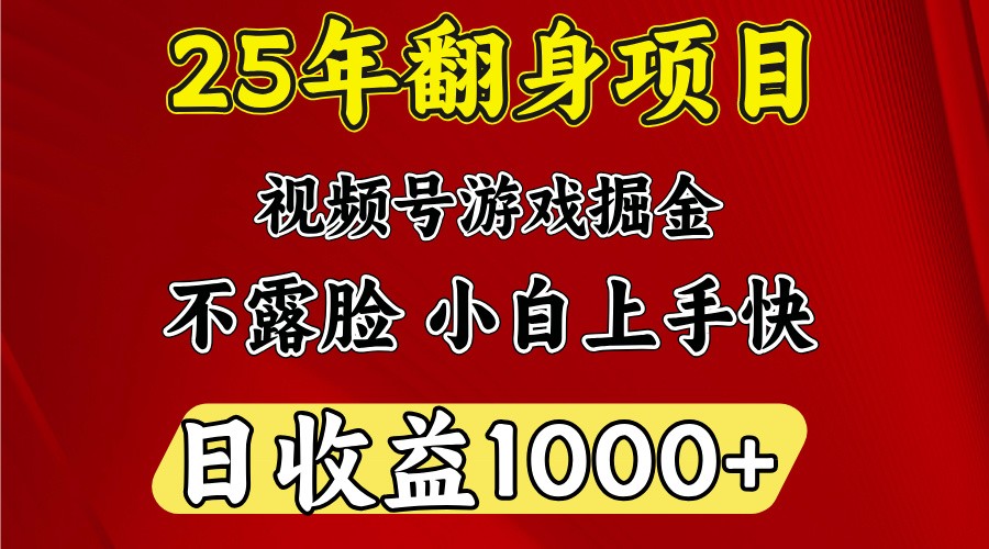 一天收益1000+ 25年开年落地好项目-资源教程须哥