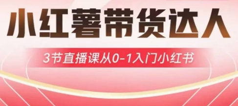 小红薯达人带货启航计划，3节直播课从0-1入门小红书-资源教程须哥