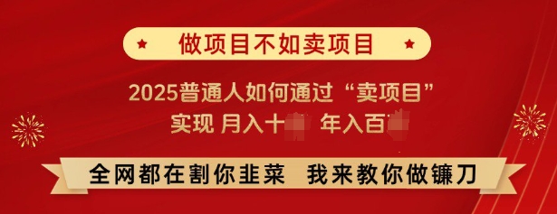 必看，做项目不如卖项目，2025普通人如何通过“卖项目”实现月入十个，年入百个-资源教程须哥