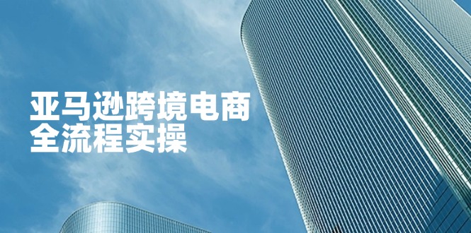 亚马逊跨境电商全流程实操，教你从零开始，掌握店铺运营与广告技巧-资源教程须哥