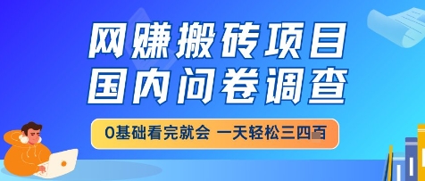 网创搬砖项目，国内问卷调查，小白轻松上手，一天三四张的也不难，干就完了【揭秘】-资源教程须哥