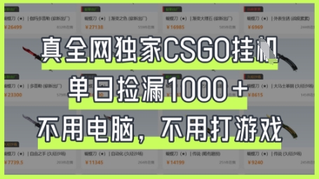 真全网独家CSGO挂G，单日捡漏1k+【揭秘】-资源教程须哥