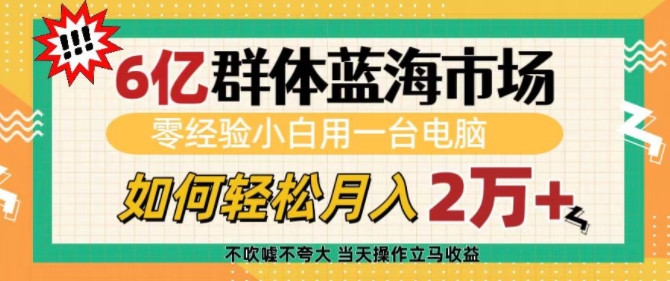 6亿群体蓝海市场，零经验小白用一台电脑，如何轻松月入过w【揭秘】-资源教程须哥