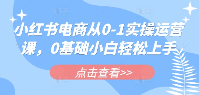 小红书电商从0-1实操运营课，0基础小白轻松上手-资源教程须哥