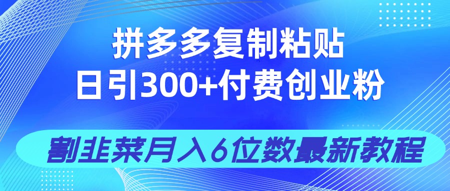 拼多多复制粘贴日引300+付费创业粉，割韭菜月入6位数最新教程！-资源教程须哥