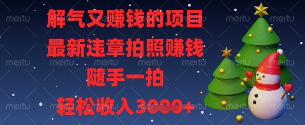 解气又挣钱的项目，最新违章拍照挣钱，随手一拍，轻松收入数张【揭秘】-资源教程须哥