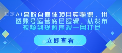 AI高阶自媒体项目实操课，讲透账号运营底层逻辑，从发布视频到规避违规一网打尽-资源教程须哥