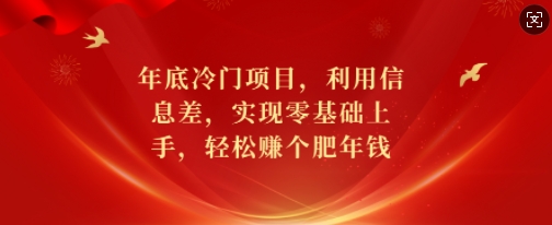 年底冷门项目，利用信息差，实现零基础上手，轻松赚个肥年钱【揭秘】-资源教程须哥
