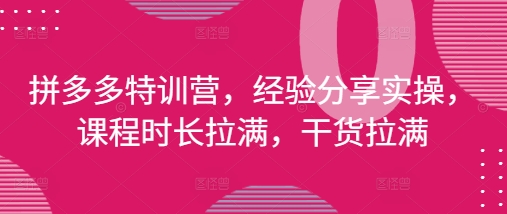 拼多多特训营，经验分享实操，课程时长拉满，干货拉满(更新25年4月)-资源教程须哥