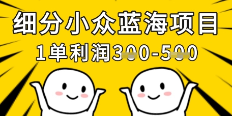 细分小众蓝海项目，一单利润3张，每月收入稳定过1w+-资源教程须哥