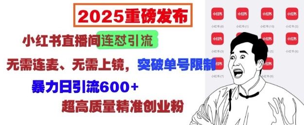 2025重磅发布：小红书直播间连怼引流，无需连麦、无需上镜，突破单号限制，暴力日引流600+-资源教程须哥