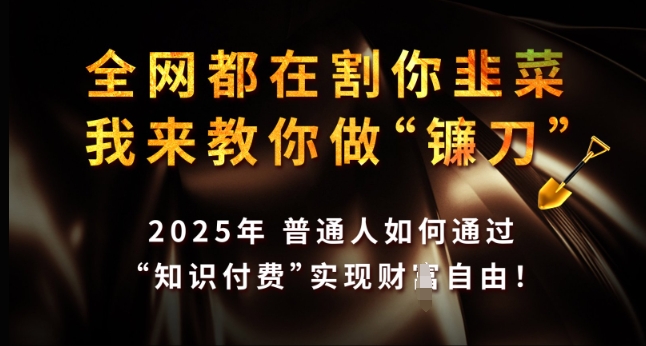 全网都在割你韭菜，我来教你做镰刀，2025年普通人如何通过 知识付费 实现财F自由【揭秘】-资源教程须哥