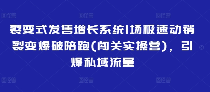 裂变式发售增长系统1场极速动销裂变爆破陪跑(闯关实操营)，引爆私域流量-资源教程须哥