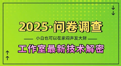 2025问卷调查最新工作室技术解密：一个人在家也可以闷声发大财，小白一天2张，可矩阵放大【揭秘】-资源教程须哥