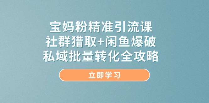 宝妈粉精准引流课，社群猎取+闲鱼爆破，私域批量转化全攻略-资源教程须哥