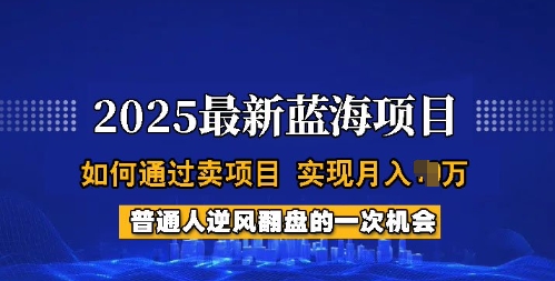 2025蓝海项目，普通人如何通过卖项目，实现月入过W，全过程【揭秘】-资源教程须哥