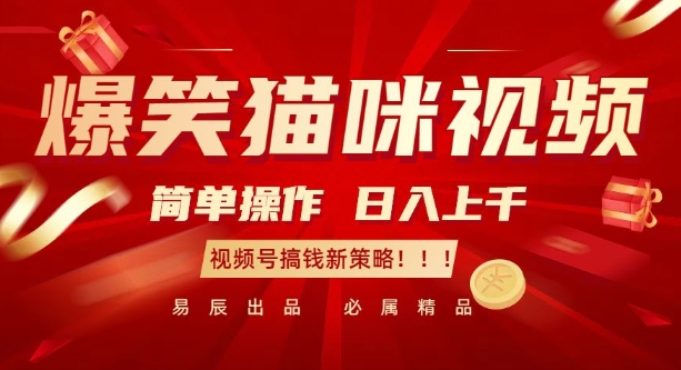 爆笑猫咪视频：简单操作，日入过K，视频号搞钱新策略【揭秘】-资源教程须哥