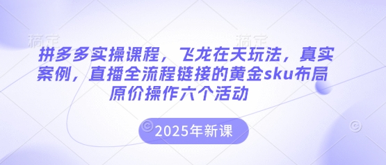 拼多多实操课程，飞龙在天玩法，真实案例，直播全流程链接的黄金sku布局原价操作六个活动-资源教程须哥