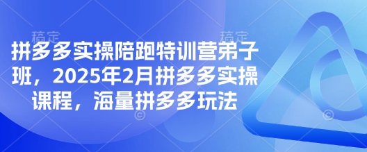拼多多实操陪跑特训营弟子班,2025年2月拼多多实操课程,海量拼多多玩法-资源教程须哥