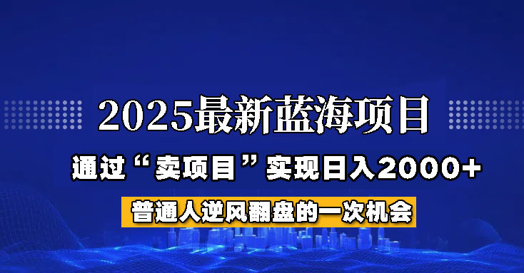 2025年蓝海项目，如何通过“网创项目”日入2000+-资源教程须哥