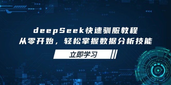 deepSeek快速驯服教程，从零开始，轻松掌握数据分析技能-资源教程须哥