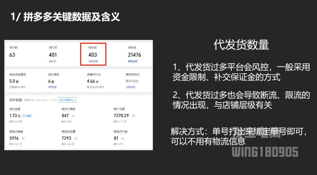 纪主任·拼多多年费会员(更新2025年1月)-资源教程须哥