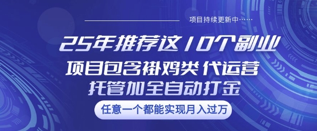 25年推荐这10个副业项目包含褂鸡类、代运营托管类、全自动打金类【揭秘】-资源教程须哥