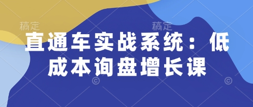 直通车实战系统：低成本询盘增长课，让个人通过技能实现升职加薪，让企业低成本获客，订单源源不断-资源教程须哥