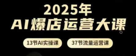 2025年AI爆店运营大课，13节AI实操课+37节流量运营课-资源教程须哥