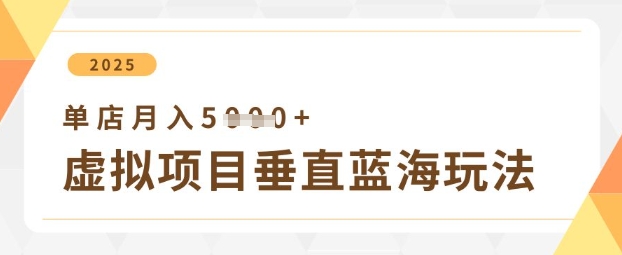虚拟项目垂直玩法，实现单店月入5k+-资源教程须哥